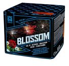 Profi-Feuerwerk,Batteriefeuerwerk, Sivesterfeuerwerk